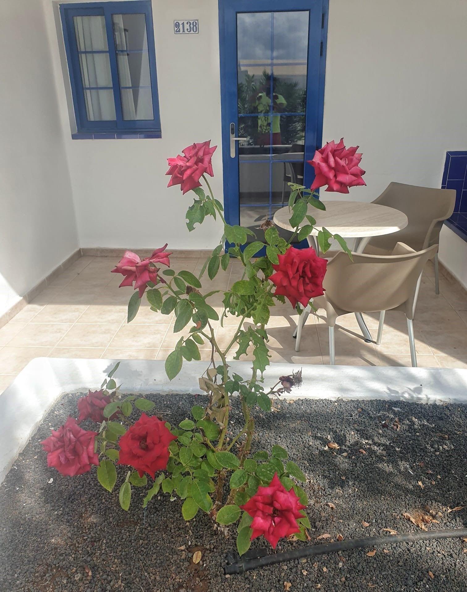 Grupotel Cinco Plazas Puerto del Carmen  Dış mekan fotoğraf