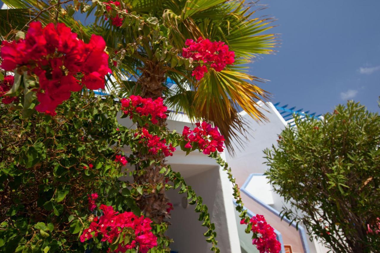 Grupotel Cinco Plazas Puerto del Carmen  Dış mekan fotoğraf